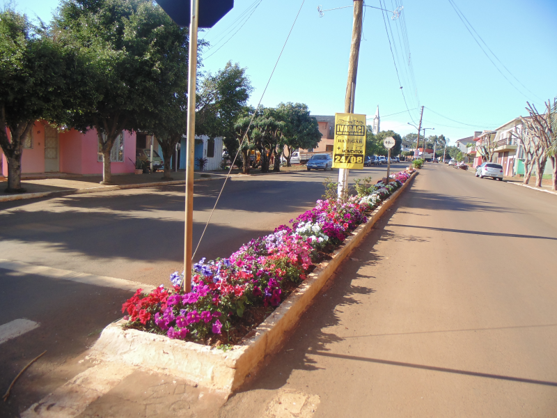 PLANTIO DE FLORES EM PARCERIA COM A COMUNIDADE